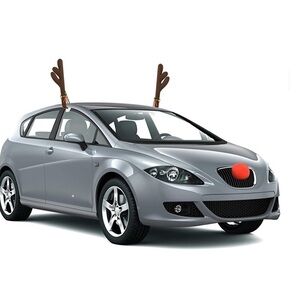 Christmas Reindeer Car Decorating Set